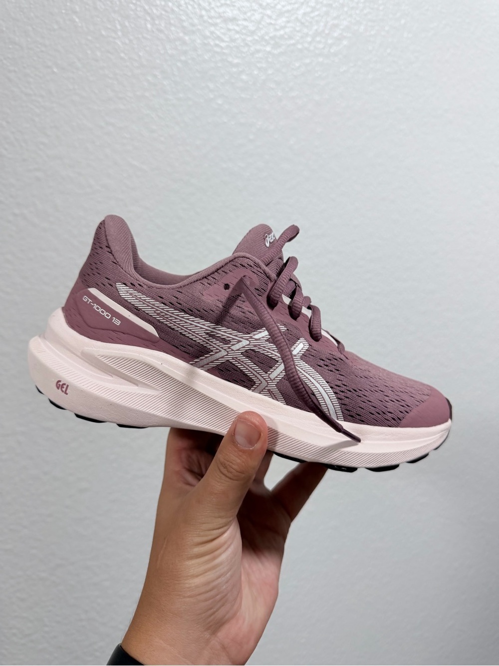 Asics GT-2000 13 in Mauve